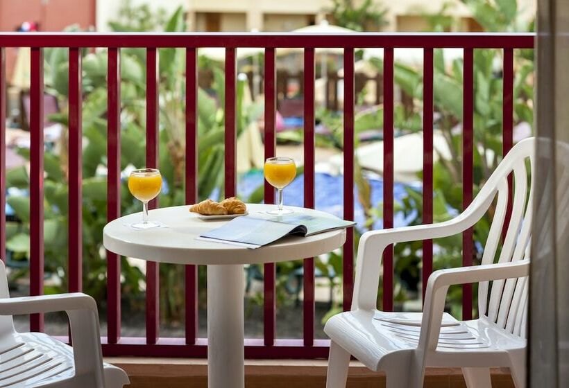 带泳池观景的豪华房, Best Jacaranda