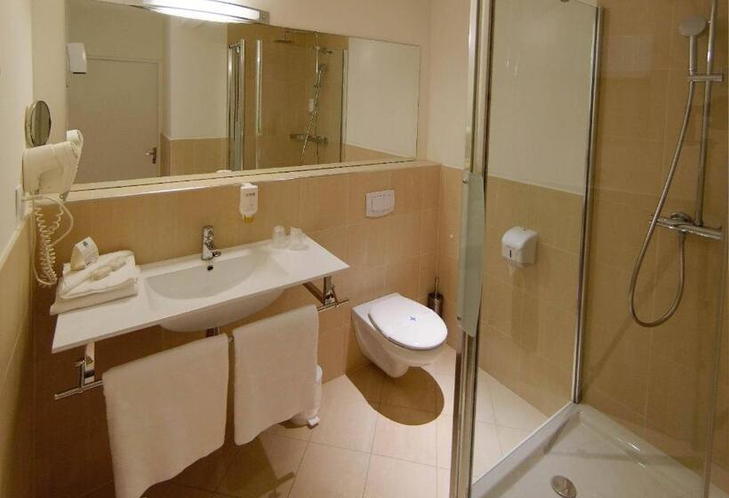 اتاق کلاسیک یک تخته, Le Clocher De Rodez Centre Gare