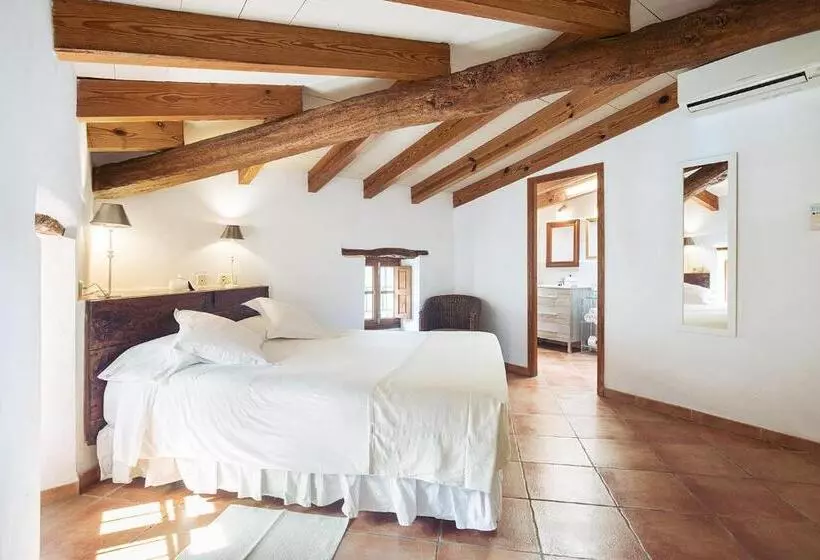 Habitació Estàndard, Nord