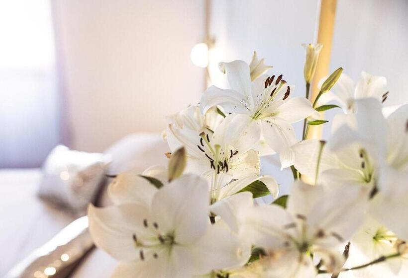 バルコニー付きスタンダードルーム, Nord