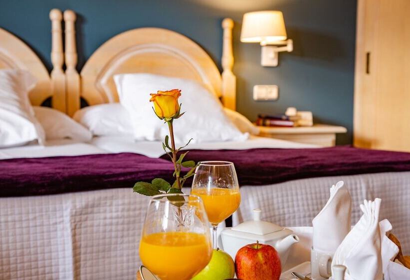 غرفة قياسية, Palacio De La Viñona