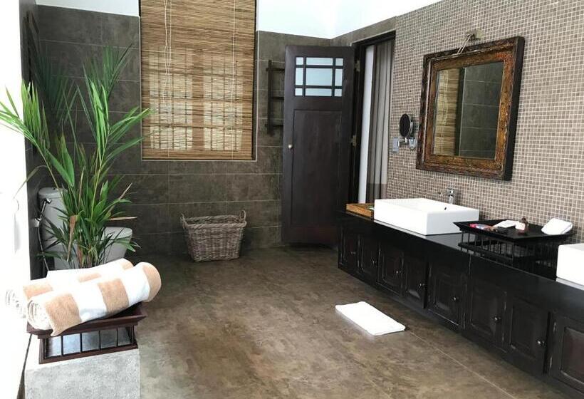 جناح بريميوم, The Postcard Galle