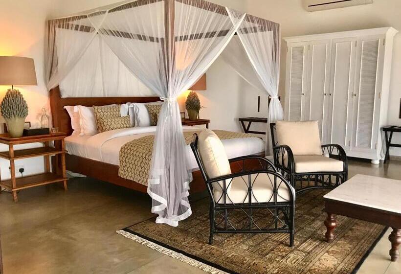 غرفة بريميوم, The Postcard Galle