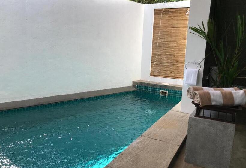 جناح بريميوم, The Postcard Galle