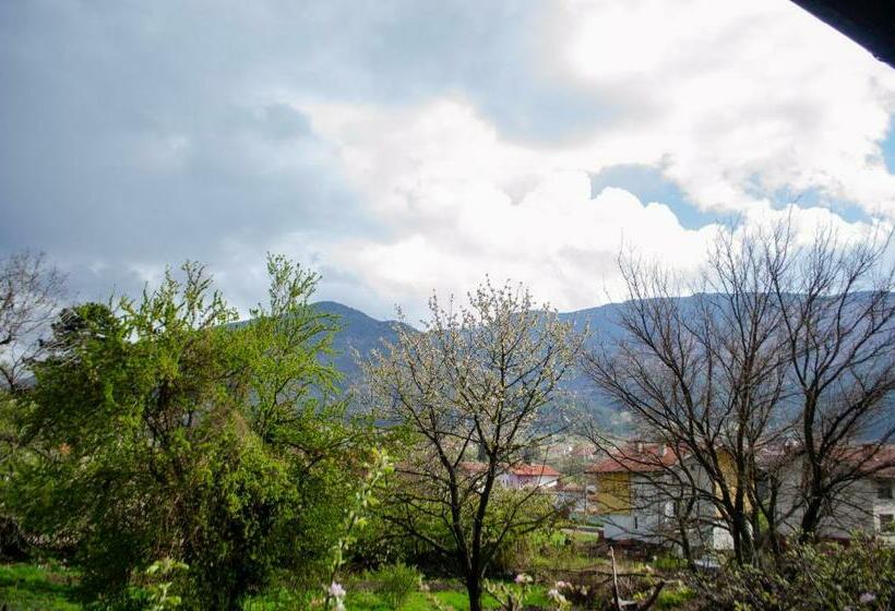 آپارتمان 1 خوابه با تراس, Guesthouse Juli