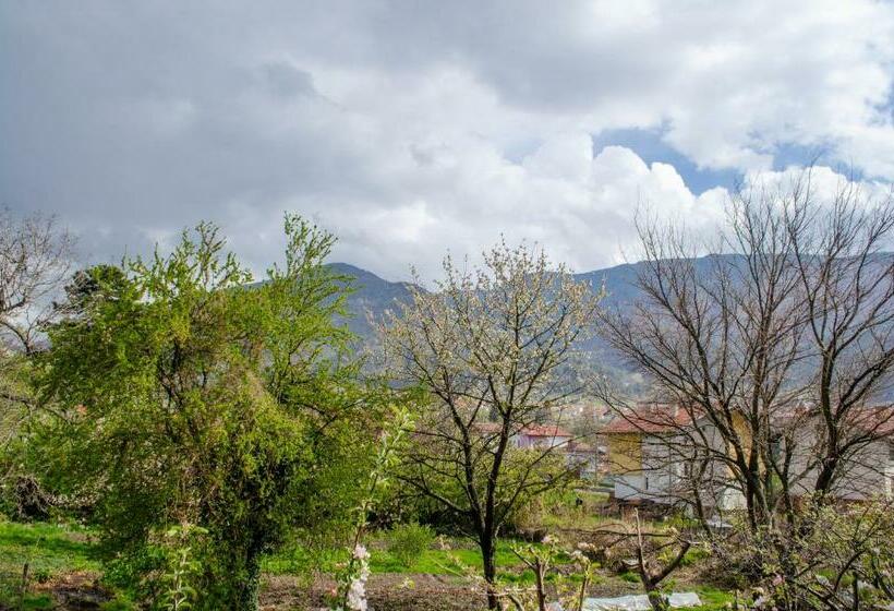 آپارتمان 1 خوابه با تراس, Guesthouse Juli