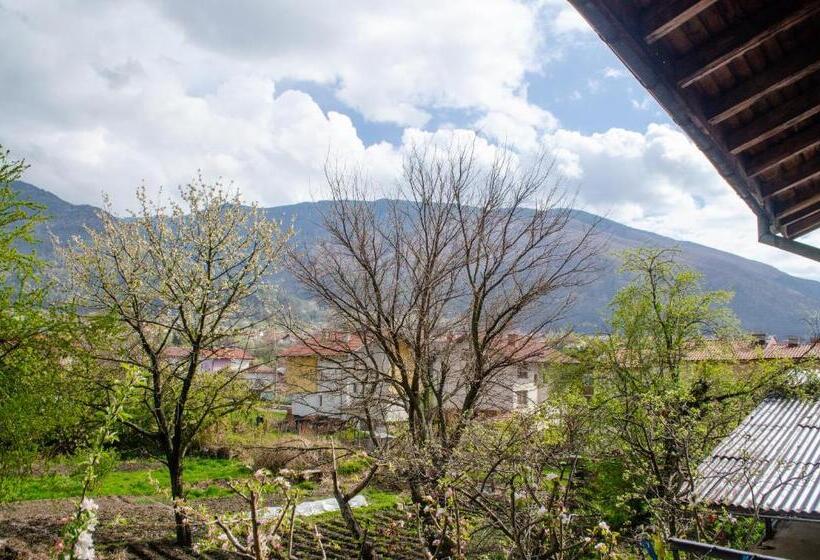 آپارتمان 1 خوابه با تراس, Guesthouse Juli