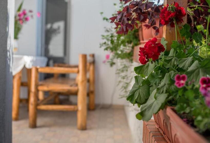 استودیو استاندارد با بالکن, Guesthouse Juli