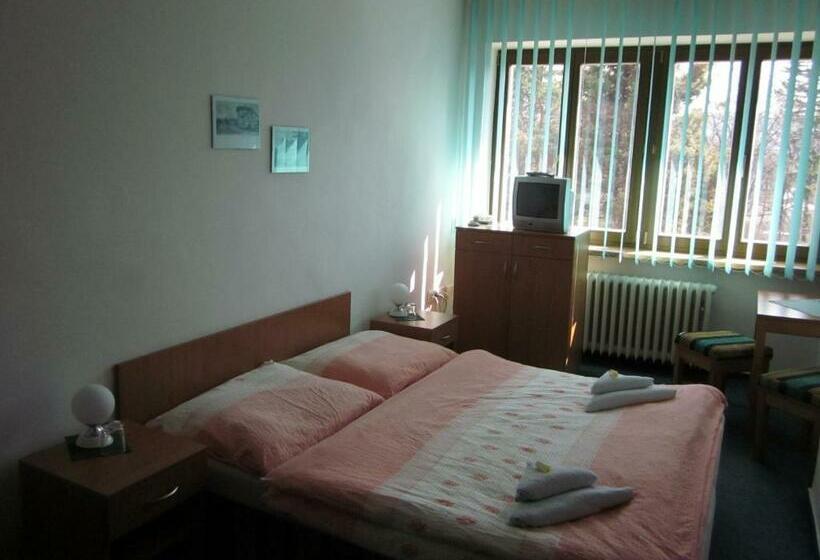 스탠다드 룸, Penzion Forman