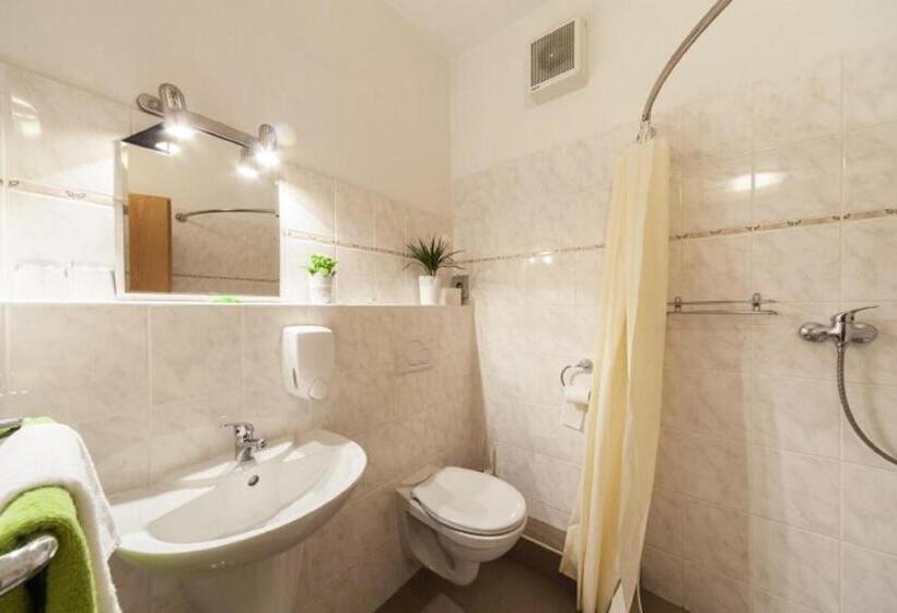 스탠다드 룸, Penzion Forman