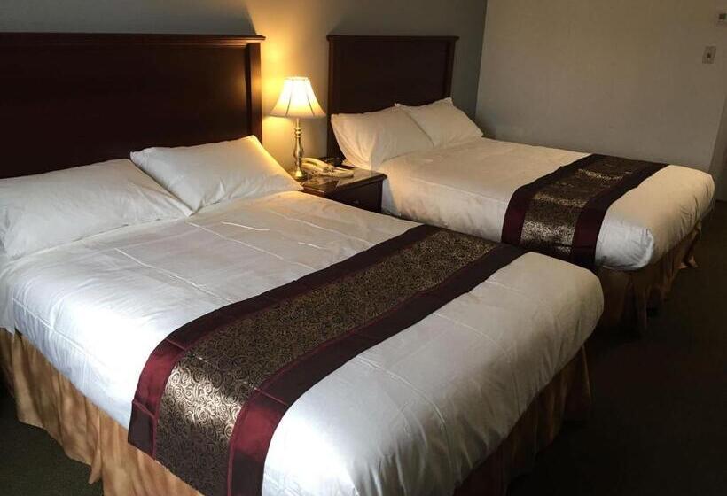 חדר סטנדרט, Repotel Levis