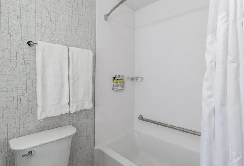 スタンダードルーム, Holiday Inn Express & Suites   Brandon, An Ihg