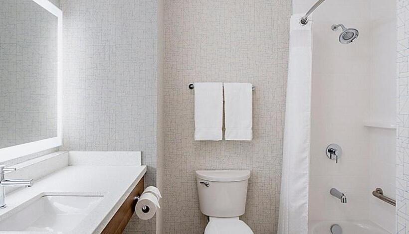 غرفة قياسية, Holiday Inn Express & Suites   Brandon, An Ihg