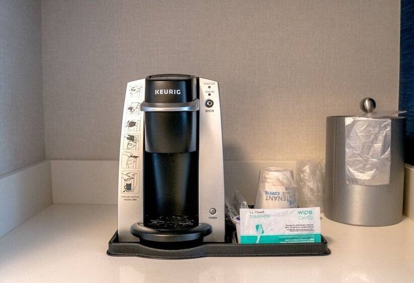 غرفه قياسيه سريرين مزدوجين, Holiday Inn Express & Suites   Brandon, An Ihg