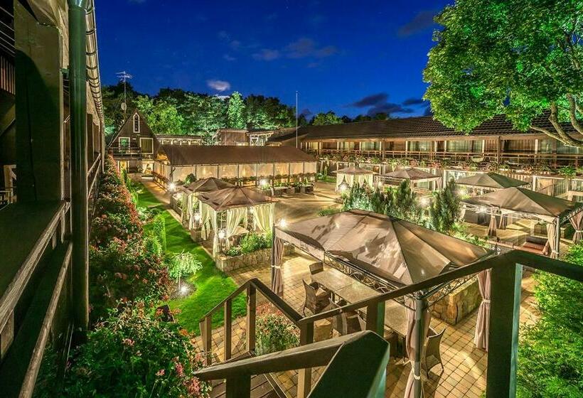 سوییت لوکس, Pušų Paunksnėje