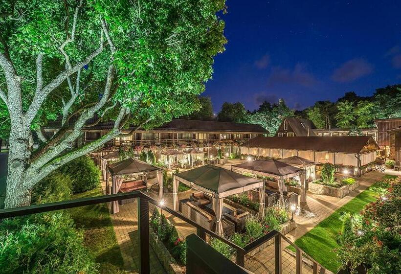 سوییت خانوادگی, Pušų Paunksnėje