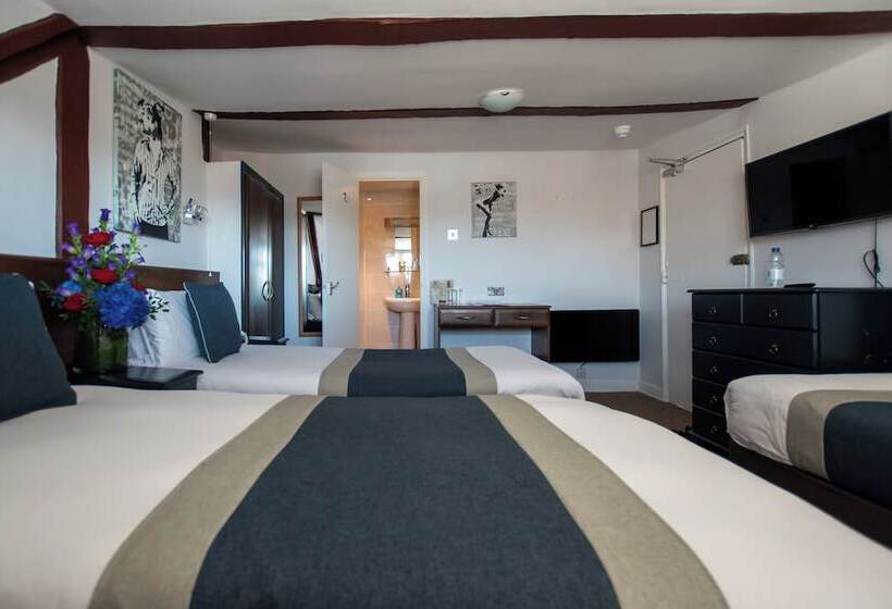 Номер Стандарт Трехместный, New Steine Hotel B&b