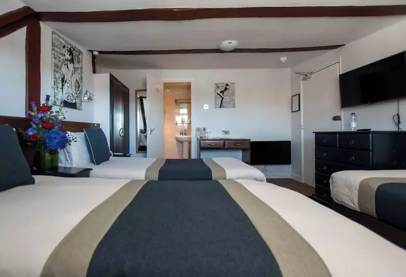 اتاق استاندارد سه نفره, New Steine Hotel   B&b