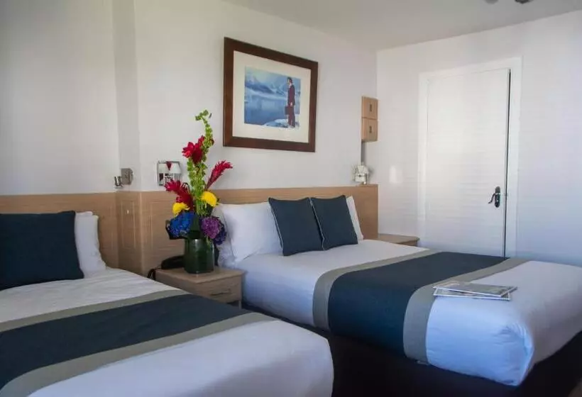 اتاق لوکس با چشم‌انداز دریا, New Steine Hotel   B&b