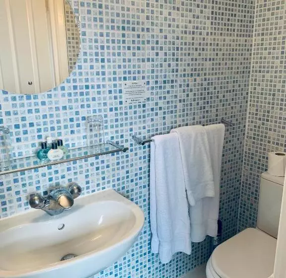 اتاق اکونومی, New Steine Hotel   B&b