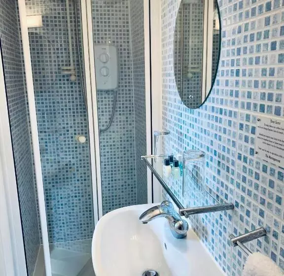 اتاق اکونومی, New Steine Hotel   B&b