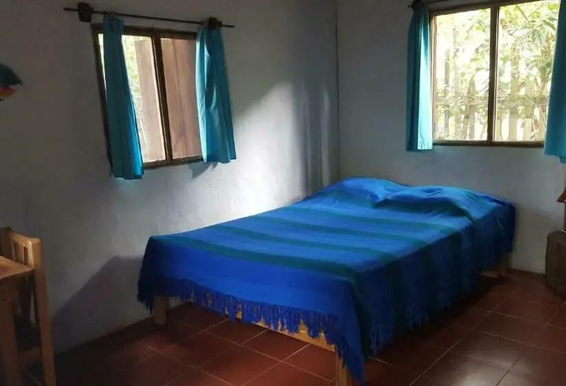 スタンダードルーム, Las Cabañas De La Iguana