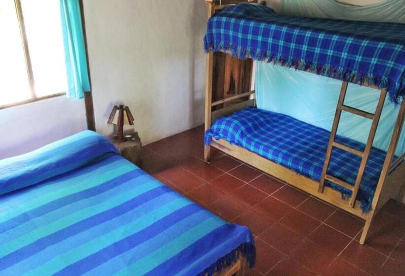 اتاق استاندارد چهار تخته, Las Cabañas De La Iguana