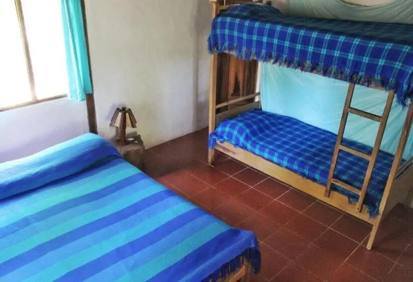 スタンダード４人部屋, Las Cabañas De La Iguana