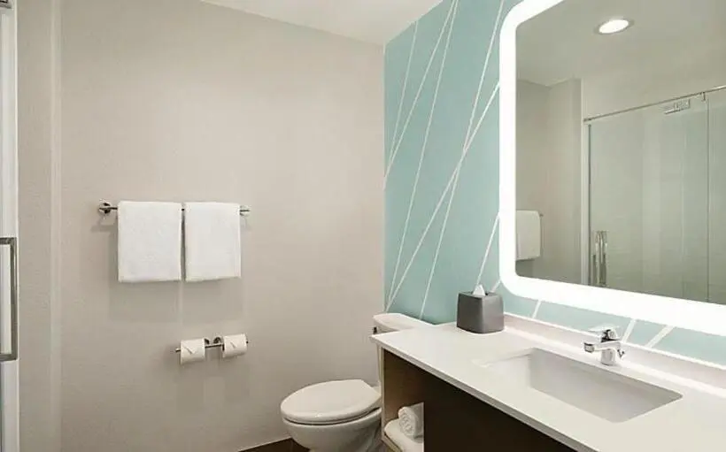 身障者適用スタンダードルーム, Avid Hotel Nashville South   Smyrna, An Ihg