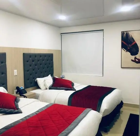 スタンダードルーム, San Antonio Guarne