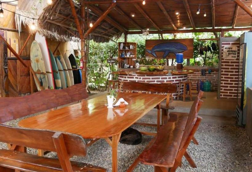 سوییت لوکس, Vistamar Guest House