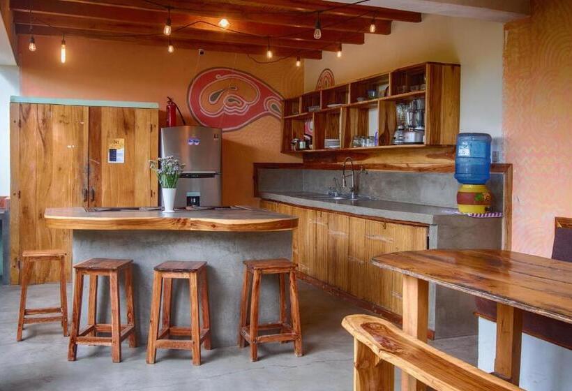 اتاق استاندارد با چشم‌انداز دریا, Vistamar Guest House