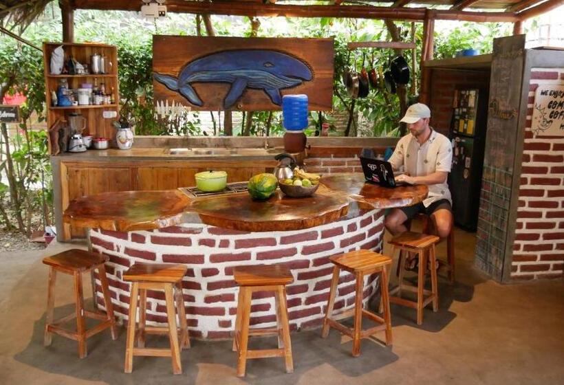 استودیوی لوکس, Vistamar Guest House