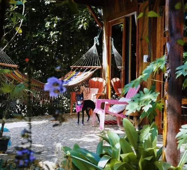 デラックススイート, Vistamar Guest House