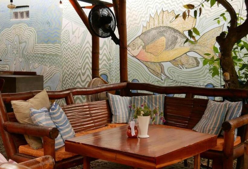 سوییت لوکس, Vistamar Guest House