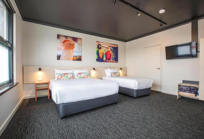 استودیو استاندارد با تراس, Nightcap At Chester Hill