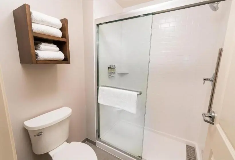 キングサイズベッドのデラックススイート, Staybridge Suites Washington Dc East Largo, An Ihg
