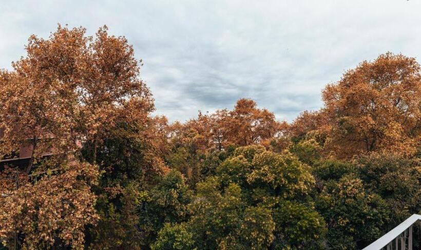 סוויטה אקזקיוטיב, Aya