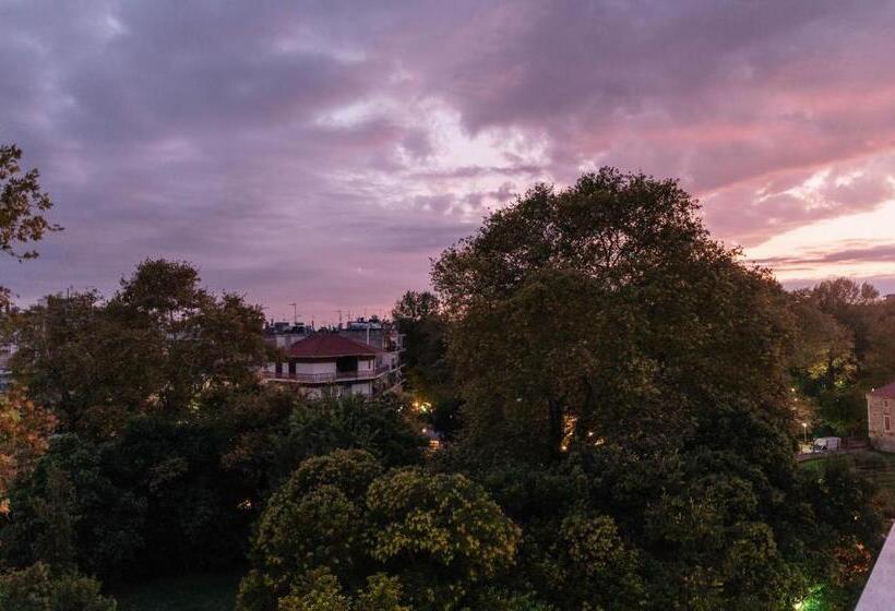 סוויטה אקזקיוטיב, Aya