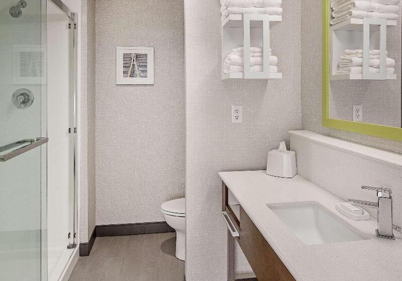 스탠다드 룸 킹사이즈 침대, Hampton Inn Columbus Ne