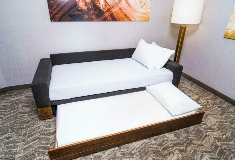 מיטת קינג בסוויטה, Springhill Suites Spokane Airport