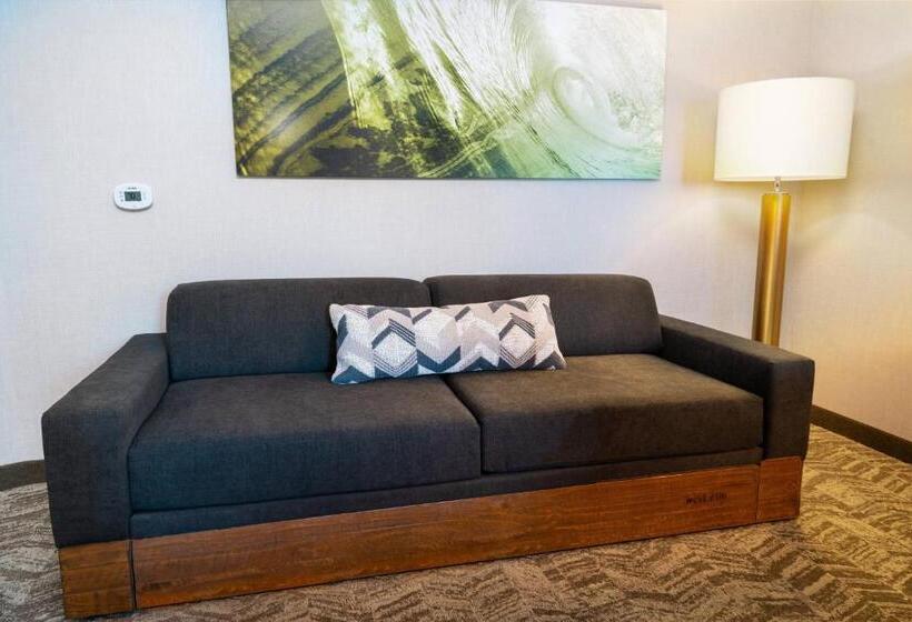 스위트 킹사이즈 침대, Springhill Suites Spokane Airport