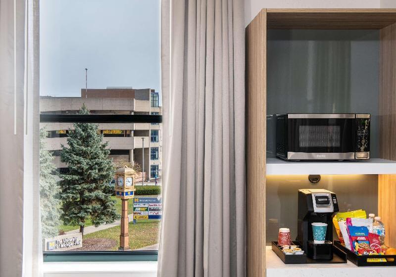 Стандартный Номер Кровать Кинг, Hilton Garden Inn Flint Downtown