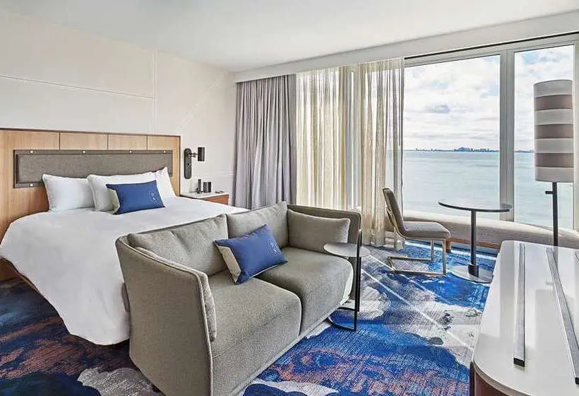 اتاق لوکس با تخت بزرگ, Hilton Garden Inn Flint Downtown