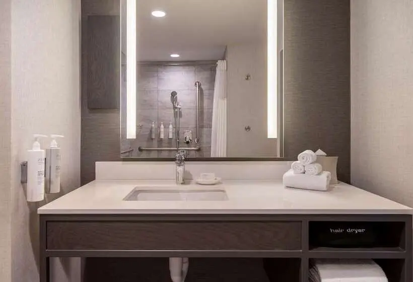 اتاق استاندارد, Hilton Garden Inn Flint Downtown