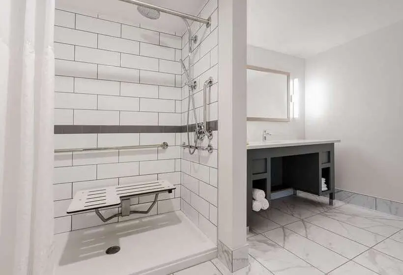 اتاق استاندارد, Hilton Garden Inn Flint Downtown