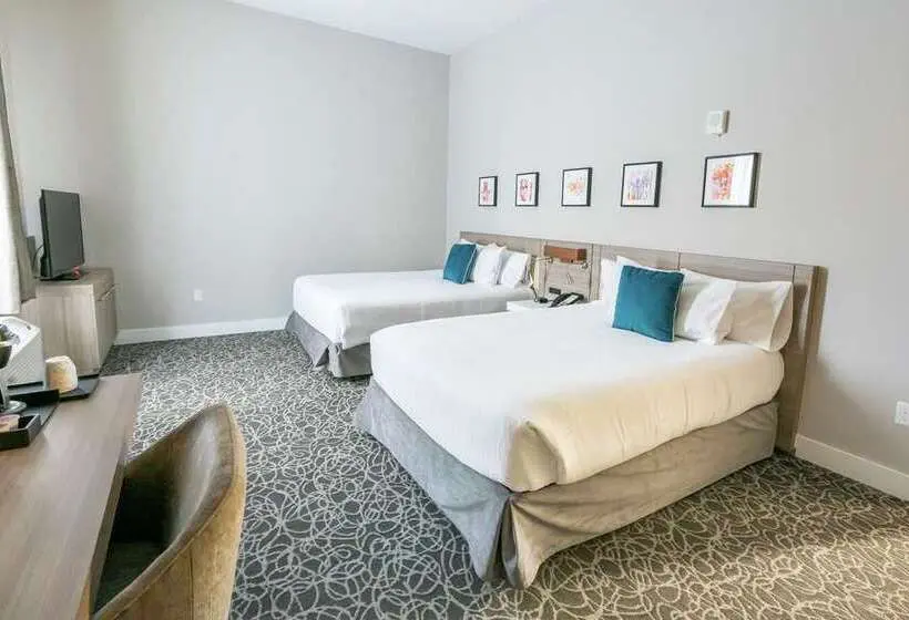 اتاق استاندارد, Hilton Garden Inn Flint Downtown