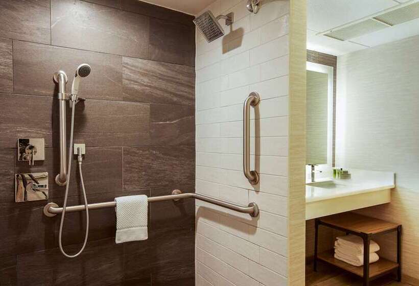 غرفة قياسية, Hilton Garden Inn Flint Downtown