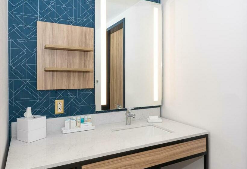 غرفة قياسية سرير كينج لذوى الإحتياجات الخاصة, Hilton Garden Inn Flint Downtown