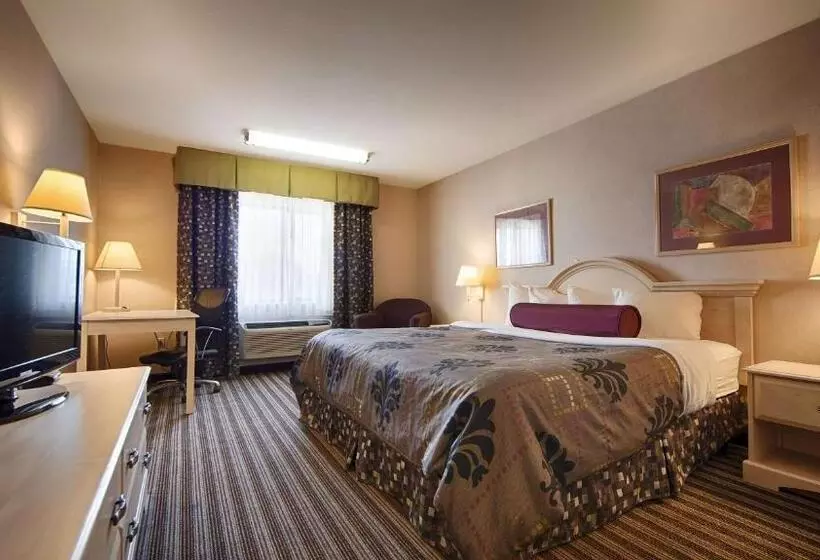 身障者適用キングサイズベッドルーム, Best Western Borger Inn